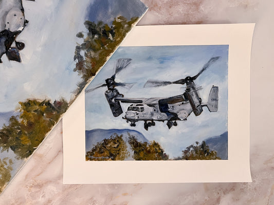 Osprey Takes Flight
