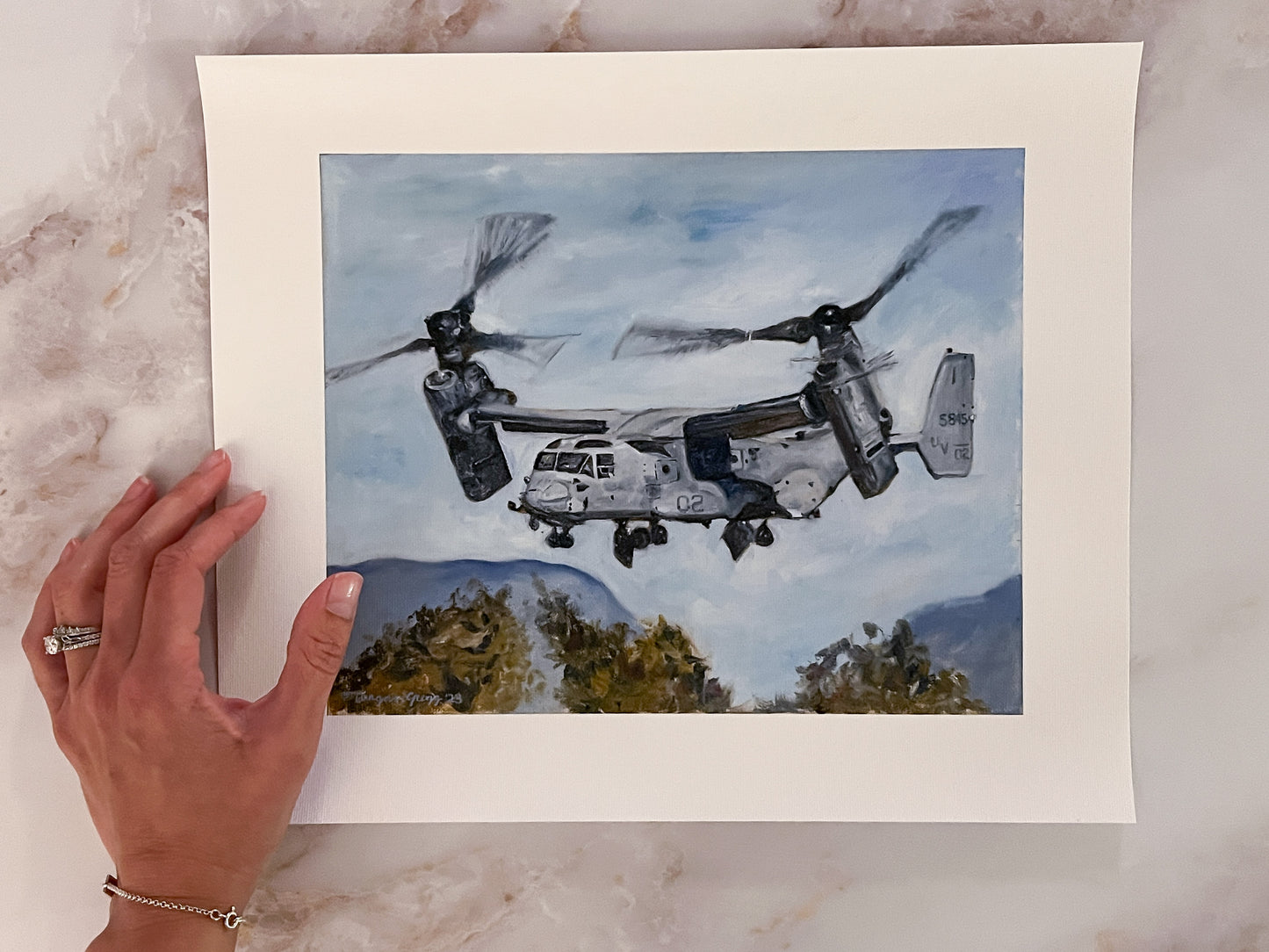 Osprey Takes Flight